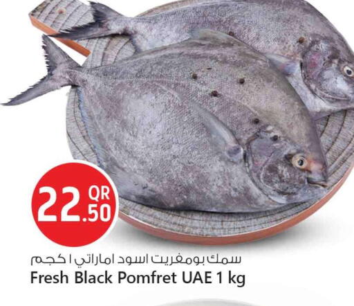 available at Safari Hypermarket in Qatar - Al Rayyan