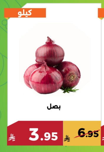 بصل available at حدائق الفرات in مملكة العربية السعودية, السعودية, سعودية - مكة المكرمة