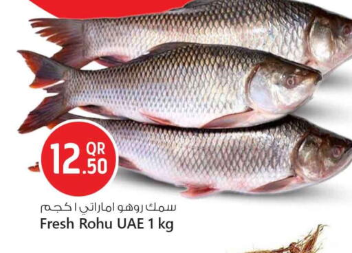 available at Safari Hypermarket in Qatar - Al Rayyan