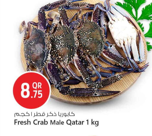 available at سفاري هايبر ماركت in قطر - الريان