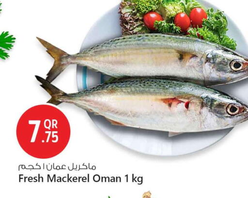 available at سفاري هايبر ماركت in قطر - الريان