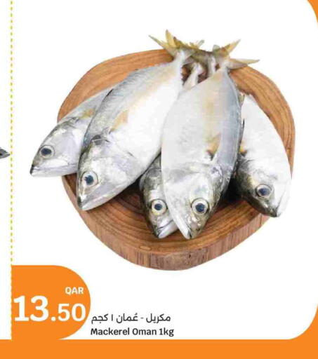 available at سيتي هايبرماركت in قطر - الريان