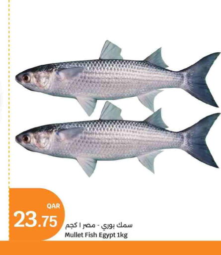 available at City Hypermarket in Qatar - Al Rayyan