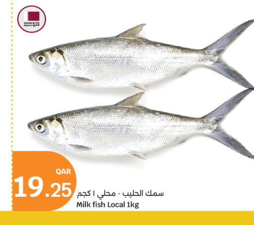 available at سيتي هايبرماركت in قطر - الدوحة