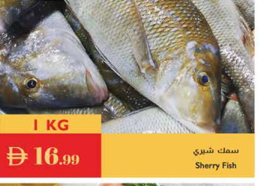 available at إسطنبول سوبرماركت in الإمارات العربية المتحدة , الامارات - الشارقة / عجمان