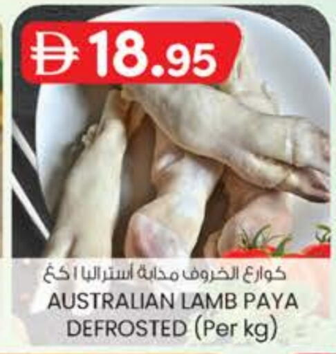 لحم الضأن / الغنم available at ك. الم. للتجارة in الإمارات العربية المتحدة , الامارات - ٱلْفُجَيْرَة‎