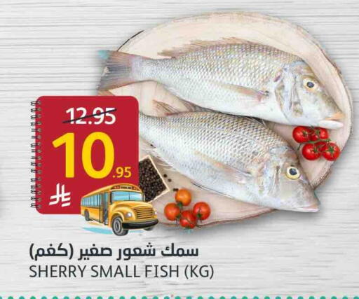 available at مركز الجزيرة للتسوق in مملكة العربية السعودية, السعودية, سعودية - الرياض