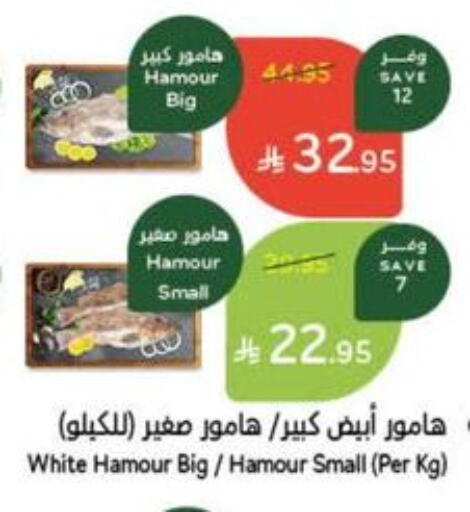 available at هايبر بنده in مملكة العربية السعودية, السعودية, سعودية - الطائف