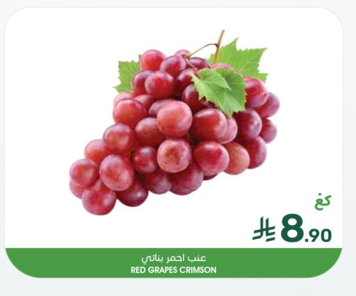Grapes available at Mazaya in KSA, Saudi Arabia, Saudi - Qatif