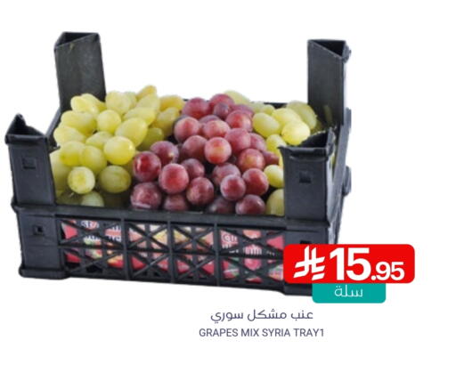Grapes from Syria available at Muntazah Markets in KSA, Saudi Arabia, Saudi - Qatif