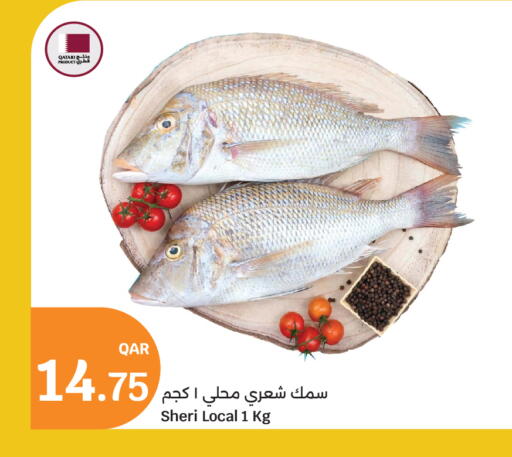 available at City Hypermarket in Qatar - Al Wakra