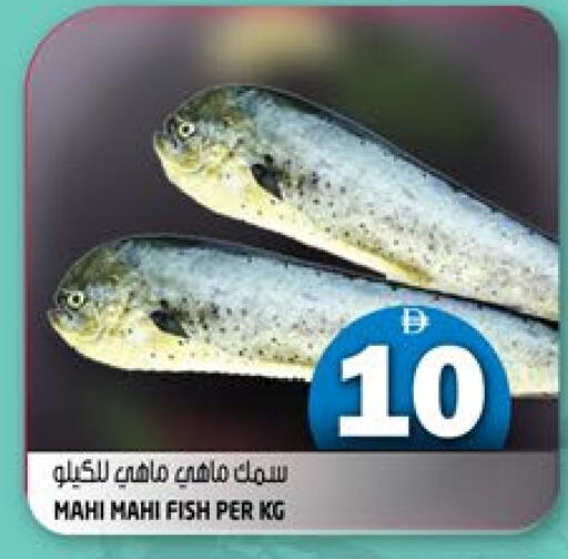 available at هاشم هايبرماركت in الإمارات العربية المتحدة , الامارات - الشارقة / عجمان