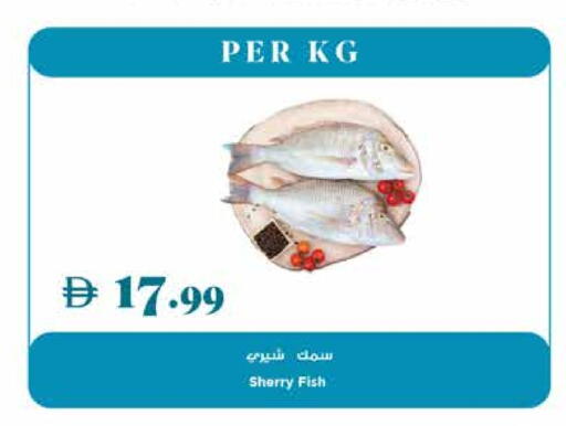 available at تروليز سوبرماركت in الإمارات العربية المتحدة , الامارات - الشارقة / عجمان