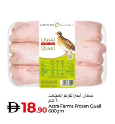 available at لولو هايبرماركت in الإمارات العربية المتحدة , الامارات - أبو ظبي