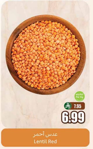 available at أسواق عبد الله العثيم in مملكة العربية السعودية, السعودية, سعودية - بريدة