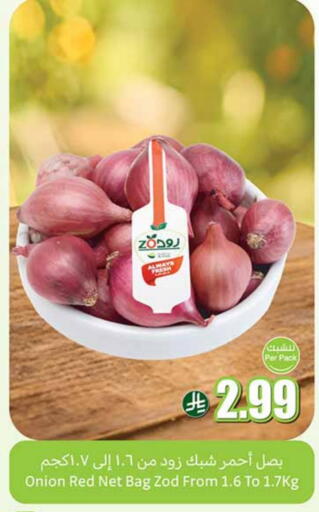 Onion available at Othaim Markets in KSA, Saudi Arabia, Saudi - Al Majmaah