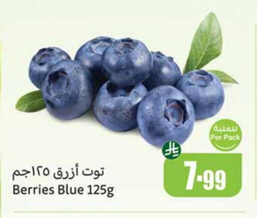 توت available at أسواق عبد الله العثيم in مملكة العربية السعودية, السعودية, سعودية - بريدة