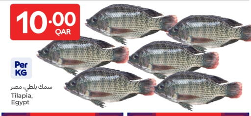 available at Carrefour in Qatar - Al Wakra