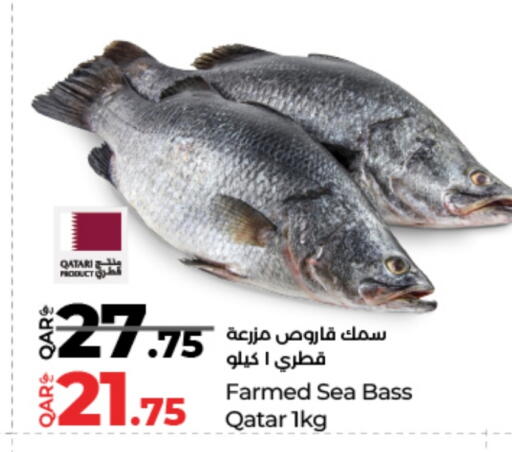 available at LuLu Hypermarket in Qatar - Al Wakra