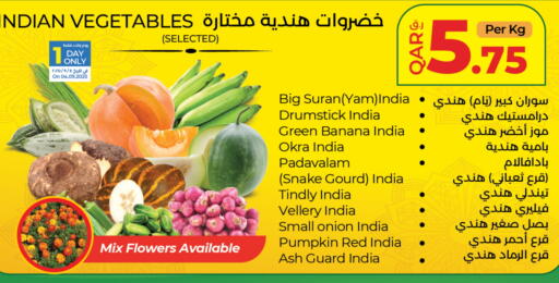 Gourd from India available at LuLu Hypermarket in Qatar - Al Wakra