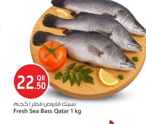 available at Safari Hypermarket in Qatar - Al Wakra