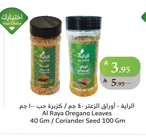 Coriander Oregano available at Al Raya in KSA, Saudi Arabia, Saudi - Tabuk