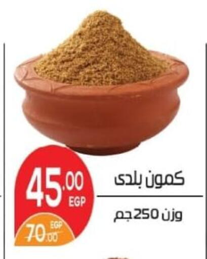 available at زاهر in Egypt - القاهرة
