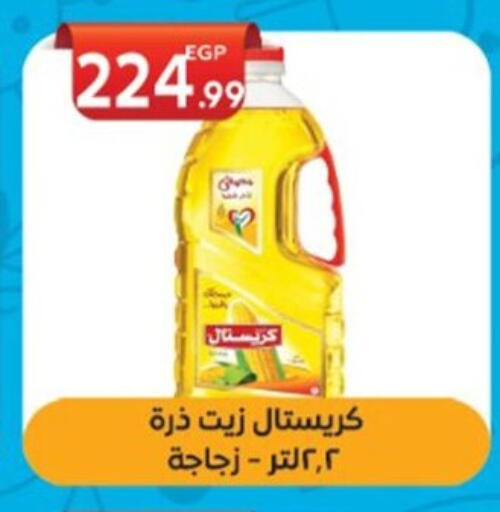 زيت الذرة available at أولاد المحاوى in Egypt - القاهرة