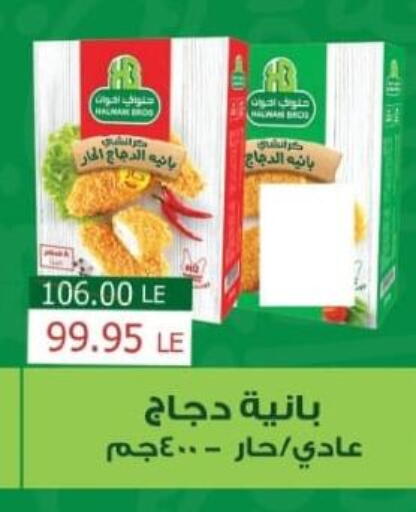 بانية الدجاج available at زاهر in Egypt - القاهرة