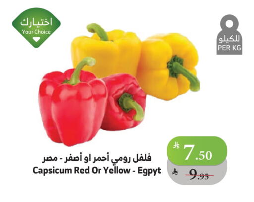 Chilli / Capsicum available at Al Raya in KSA, Saudi Arabia, Saudi - Jeddah