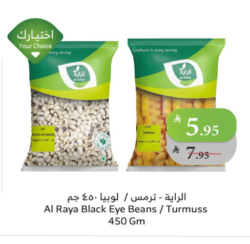 available at Al Raya in KSA, Saudi Arabia, Saudi - Tabuk
