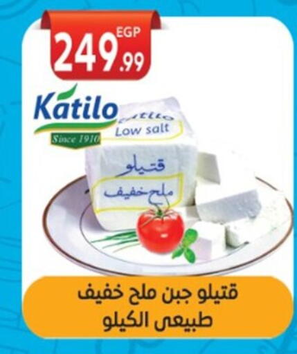 KATILO available at El mhallawy Sons in Egypt - Cairo