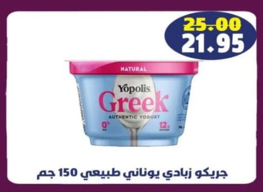 زبادي يوناني available at زاهر in Egypt - القاهرة
