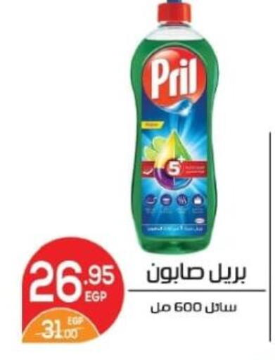بريل available at زاهر in Egypt - القاهرة