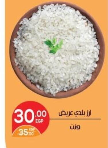 available at زاهر in Egypt - القاهرة