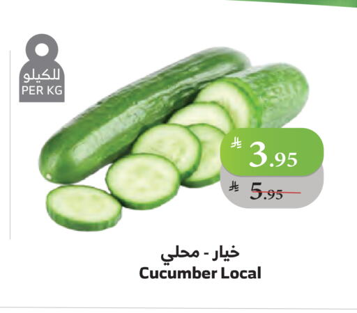 Cucumber available at Al Raya in KSA, Saudi Arabia, Saudi - Jeddah
