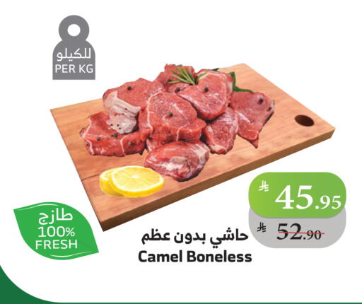 لحم حاشي available at الراية in مملكة العربية السعودية, السعودية, سعودية - جدة