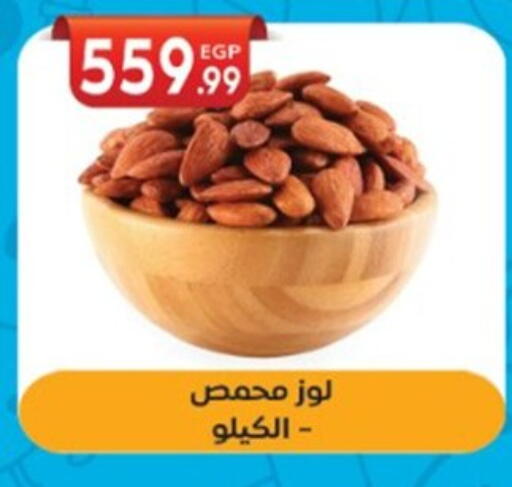 available at El mhallawy Sons in Egypt - Cairo