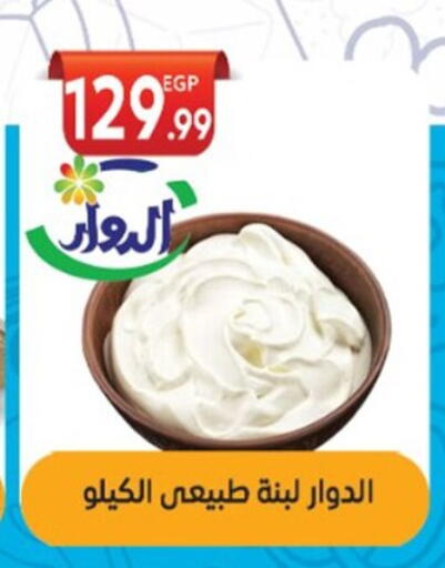 Labneh available at El mhallawy Sons in Egypt - Cairo