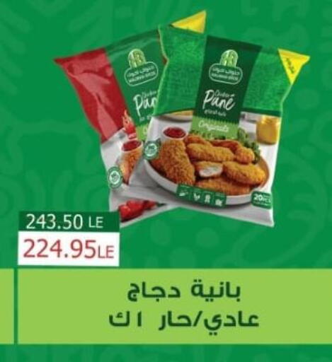 بانية الدجاج available at زاهر in Egypt - القاهرة