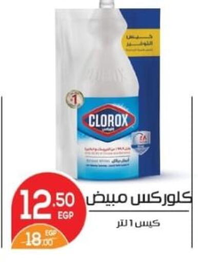كلوركس منظف عام available at زاهر in Egypt - القاهرة