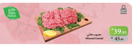 لحم حاشي available at الراية in مملكة العربية السعودية, السعودية, سعودية - جدة
