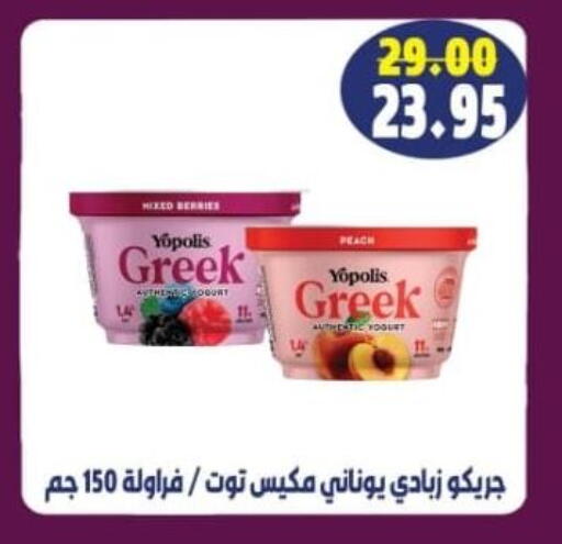 زبادي يوناني available at زاهر in Egypt - القاهرة