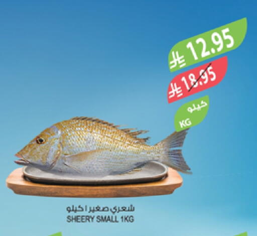 available at المزرعة in مملكة العربية السعودية, السعودية, سعودية - الخرج
