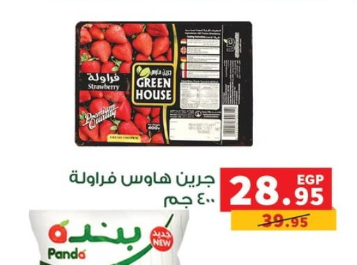 Strawberry available at Panda  in Egypt - Cairo