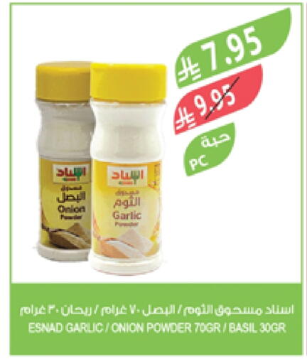 Garlic Onion Basil available at Farm  in KSA, Saudi Arabia, Saudi - Al Khobar