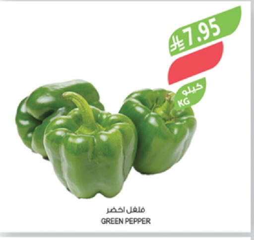Chilli / Capsicum available at Farm  in KSA, Saudi Arabia, Saudi - Jeddah