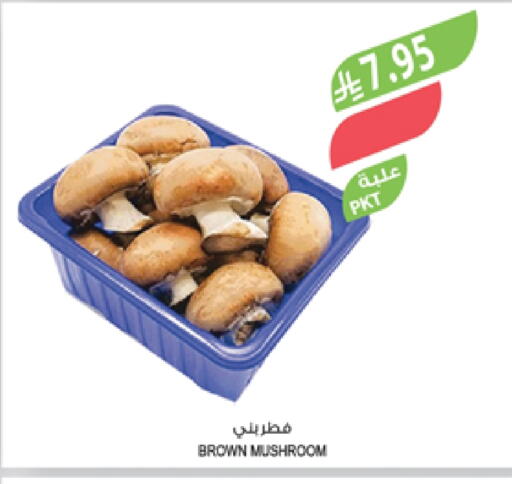 Mushroom available at Farm  in KSA, Saudi Arabia, Saudi - Sakaka