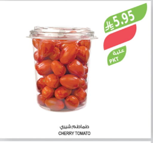 طماطم available at المزرعة in مملكة العربية السعودية, السعودية, سعودية - تبوك
