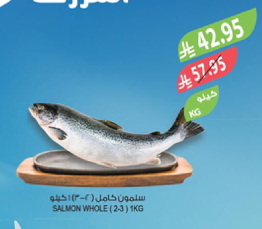 available at المزرعة in مملكة العربية السعودية, السعودية, سعودية - الخبر‎